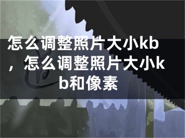 怎么調(diào)整照片大小kb，怎么調(diào)整照片大小kb和像素