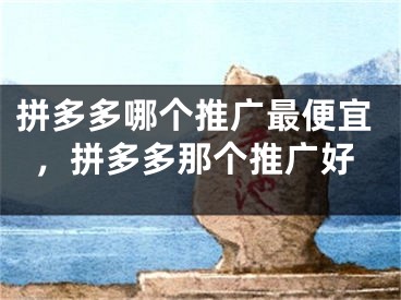 拼多多哪個(gè)推廣最便宜，拼多多那個(gè)推廣好