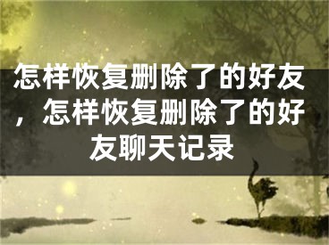 怎樣恢復(fù)刪除了的好友，怎樣恢復(fù)刪除了的好友聊天記錄