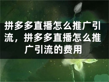 拼多多直播怎么推廣引流，拼多多直播怎么推廣引流的費用