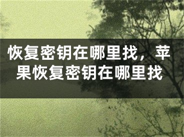 恢復(fù)密鑰在哪里找，蘋果恢復(fù)密鑰在哪里找