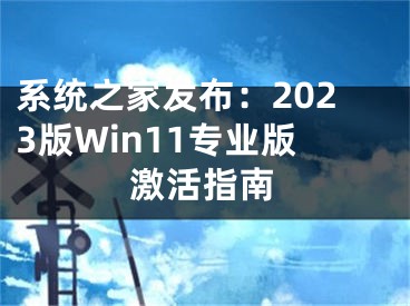 系統(tǒng)之家發(fā)布：2023版Win11專業(yè)版激活指南