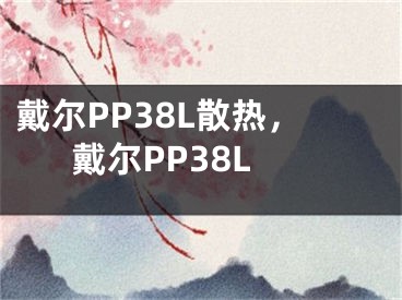 戴爾PP38L散熱，戴爾PP38L