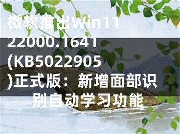 微軟推出Win11 22000.1641(KB5022905)正式版：新增面部識(shí)別自動(dòng)學(xué)習(xí)功能