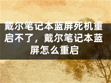 戴爾筆記本藍(lán)屏死機(jī)重啟不了，戴爾筆記本藍(lán)屏怎么重啟