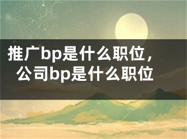 推廣bp是什么職位，公司bp是什么職位