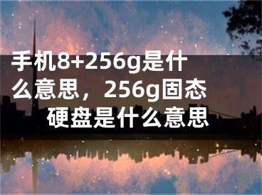 手機8+256g是什么意思，256g固態(tài)硬盤是什么意思