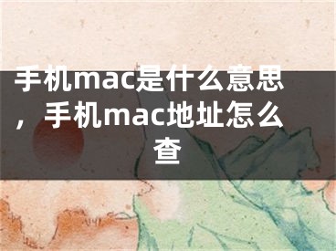 手機(jī)mac是什么意思，手機(jī)mac地址怎么查