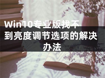 Win10專業(yè)版找不到亮度調(diào)節(jié)選項的解決辦法