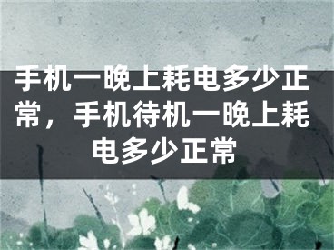 手機一晚上耗電多少正常，手機待機一晚上耗電多少正常