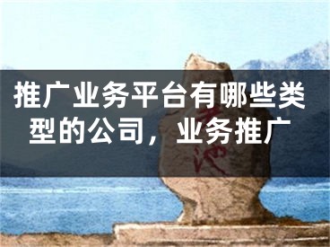 推廣業(yè)務(wù)平臺(tái)有哪些類型的公司，業(yè)務(wù)推廣