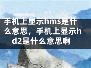 手機(jī)上顯示hms是什么意思，手機(jī)上顯示hd2是什么意思啊