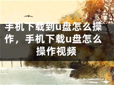 手機下載到u盤怎么操作，手機下載u盤怎么操作視頻