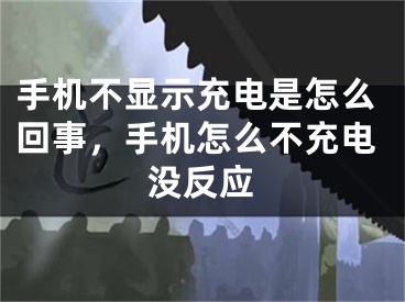 手機(jī)不顯示充電是怎么回事，手機(jī)怎么不充電沒反應(yīng)