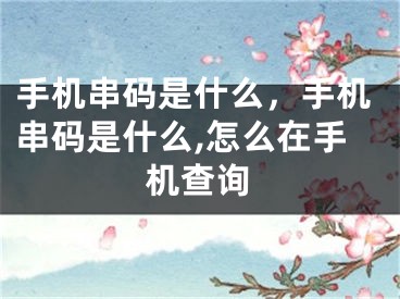 手機串碼是什么，手機串碼是什么,怎么在手機查詢