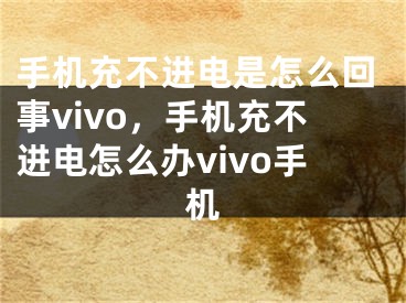 手機充不進電是怎么回事vivo，手機充不進電怎么辦vivo手機