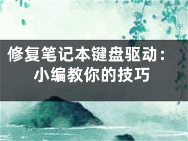 修復(fù)筆記本鍵盤驅(qū)動：小編教你的技巧