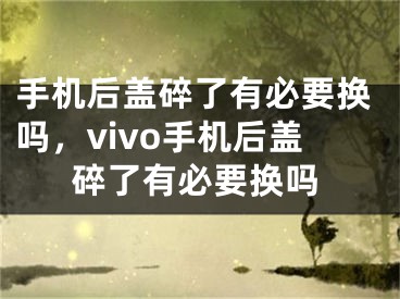 手機(jī)后蓋碎了有必要換嗎，vivo手機(jī)后蓋碎了有必要換嗎