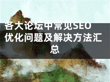 各大論壇中常見SEO優(yōu)化問題及解決方法匯總