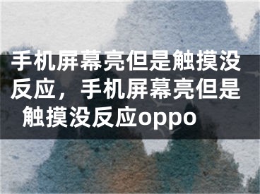 手機屏幕亮但是觸摸沒反應(yīng)，手機屏幕亮但是觸摸沒反應(yīng)oppo