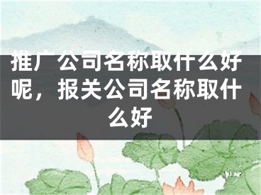 推廣公司名稱(chēng)取什么好呢，報(bào)關(guān)公司名稱(chēng)取什么好