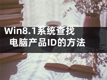 Win8.1系統(tǒng)查找電腦產(chǎn)品ID的方法