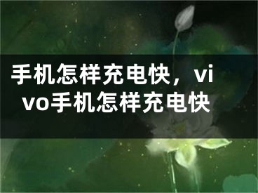 手機(jī)怎樣充電快，vivo手機(jī)怎樣充電快