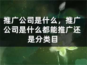 推廣公司是什么，推廣公司是什么都能推廣還是分類目