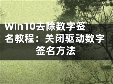 Win10去除數(shù)字簽名教程：關(guān)閉驅(qū)動數(shù)字簽名方法