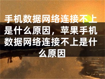 手機(jī)數(shù)據(jù)網(wǎng)絡(luò)連接不上是什么原因，蘋果手機(jī)數(shù)據(jù)網(wǎng)絡(luò)連接不上是什么原因