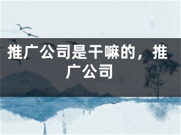 推廣公司是干嘛的，推廣公司