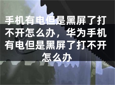 手機(jī)有電但是黑屏了打不開怎么辦，華為手機(jī)有電但是黑屏了打不開怎么辦