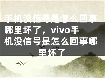 手機(jī)沒信號(hào)是怎么回事哪里壞了，vivo手機(jī)沒信號(hào)是怎么回事哪里壞了