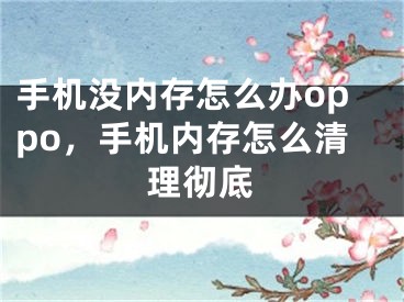 手機(jī)沒內(nèi)存怎么辦oppo，手機(jī)內(nèi)存怎么清理徹底