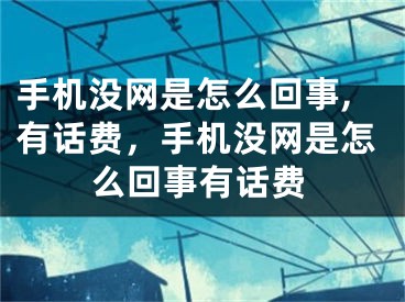 手機(jī)沒網(wǎng)是怎么回事,有話費(fèi)，手機(jī)沒網(wǎng)是怎么回事有話費(fèi)