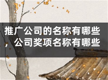 推廣公司的名稱有哪些，公司獎(jiǎng)項(xiàng)名稱有哪些