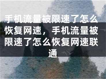 手機(jī)流量被限速了怎么恢復(fù)網(wǎng)速，手機(jī)流量被限速了怎么恢復(fù)網(wǎng)速聯(lián)通