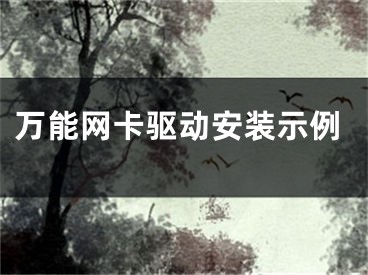 萬(wàn)能網(wǎng)卡驅(qū)動(dòng)安裝示例