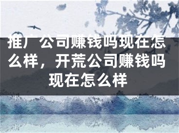 推廣公司賺錢嗎現(xiàn)在怎么樣，開荒公司賺錢嗎現(xiàn)在怎么樣