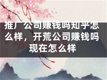 推廣公司賺錢嗎知乎怎么樣，開荒公司賺錢嗎現(xiàn)在怎么樣