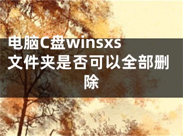 電腦C盤winsxs文件夾是否可以全部刪除