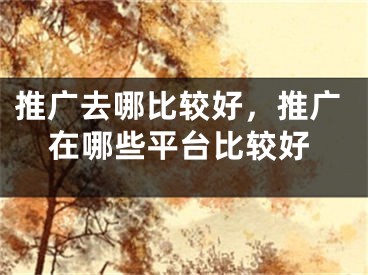 推廣去哪比較好，推廣在哪些平臺(tái)比較好