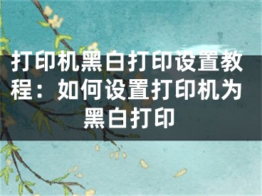 打印機黑白打印設(shè)置教程：如何設(shè)置打印機為黑白打印