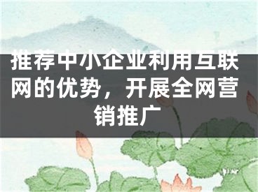 推薦中小企業(yè)利用互聯(lián)網(wǎng)的優(yōu)勢，開展全網(wǎng)營銷推廣