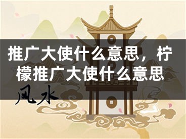 推廣大使什么意思，檸檬推廣大使什么意思