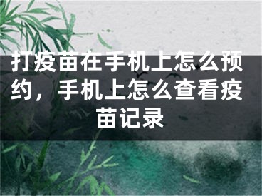 打疫苗在手機(jī)上怎么預(yù)約，手機(jī)上怎么查看疫苗記錄