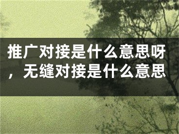 推廣對接是什么意思呀，無縫對接是什么意思