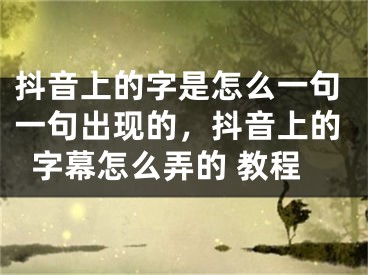 抖音上的字是怎么一句一句出現(xiàn)的，抖音上的字幕怎么弄的 教程