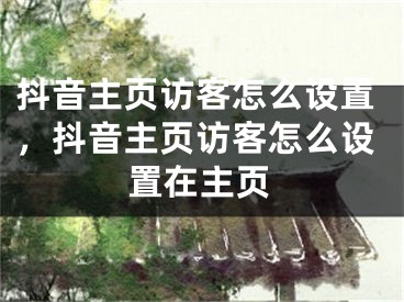 抖音主頁訪客怎么設(shè)置，抖音主頁訪客怎么設(shè)置在主頁