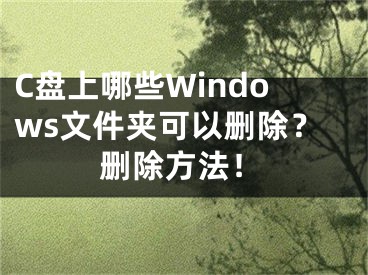 C盤(pán)上哪些Windows文件夾可以刪除？刪除方法！